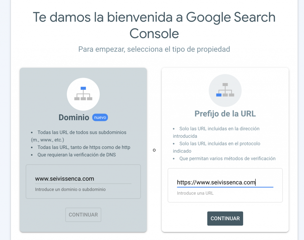 Ejemplo Search Console para SEO