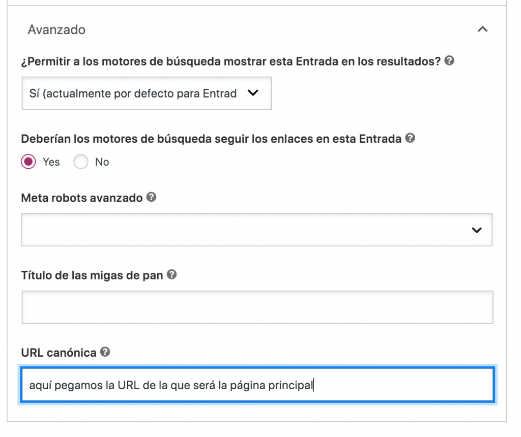 Ejemplo Canonical SEO by Yoast