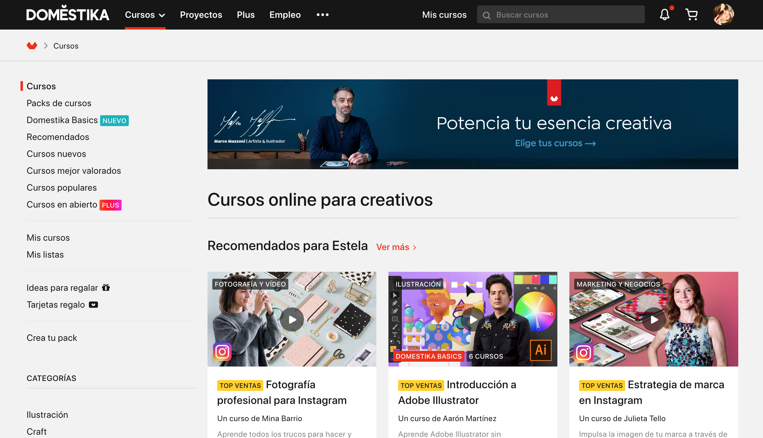 Ejemplo SEO copywritting DOMESTIKA