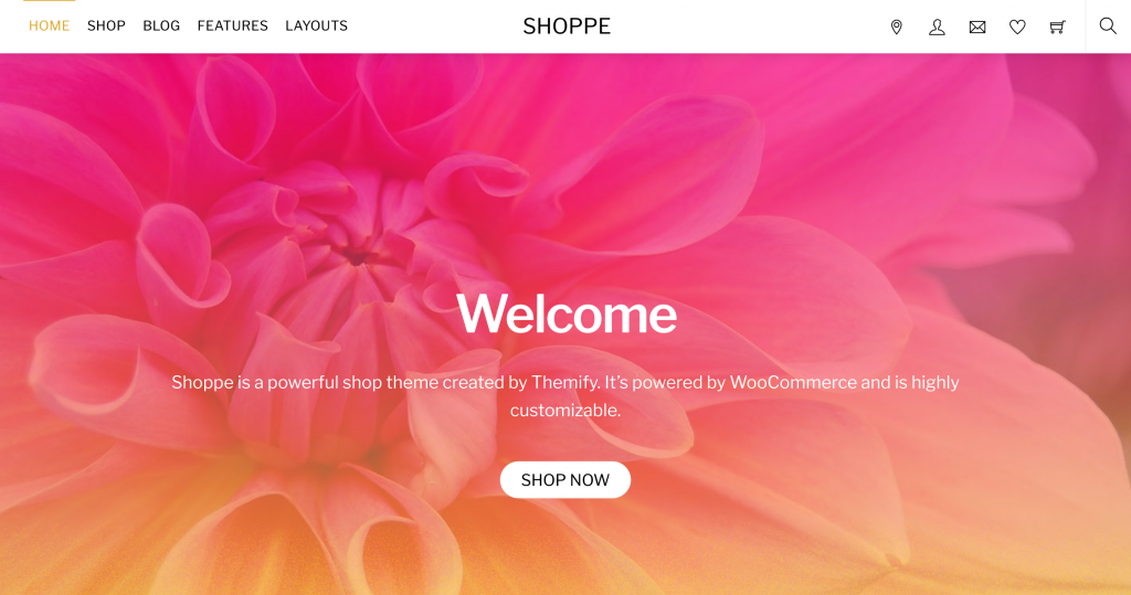 Captura pantalla Shoppe Marketing Estelar
